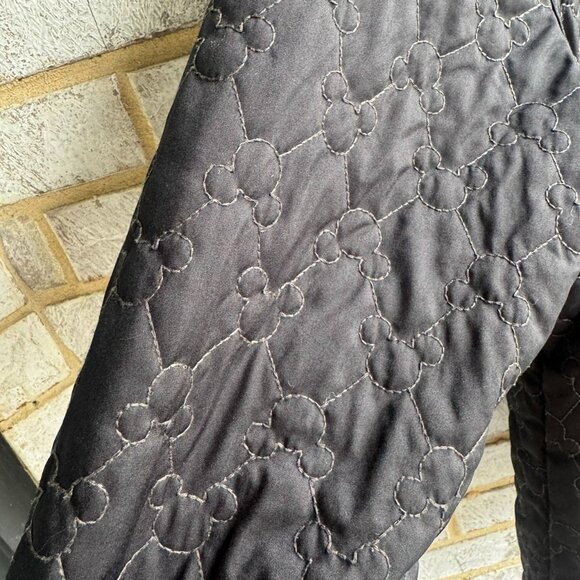 Walt Disney World Long Sleeve Zip Front Lightweight Quilted Jacket Size L - Picture 7 of 9